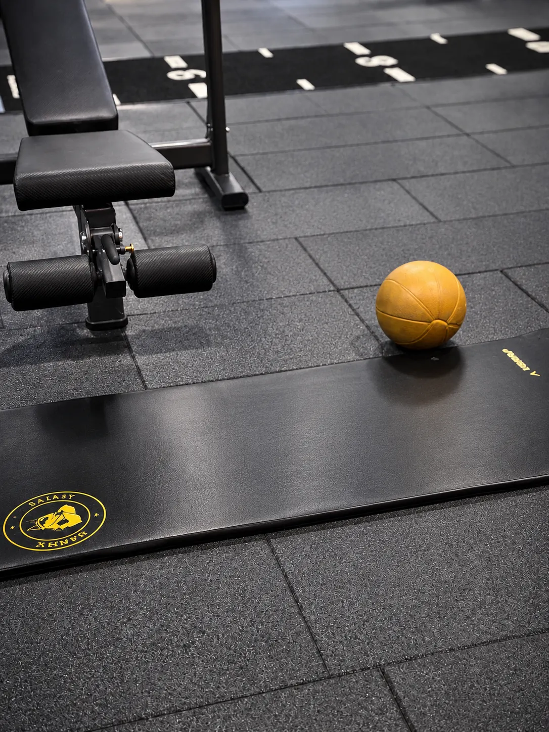 Bench ve medicine ball çalışma alanı